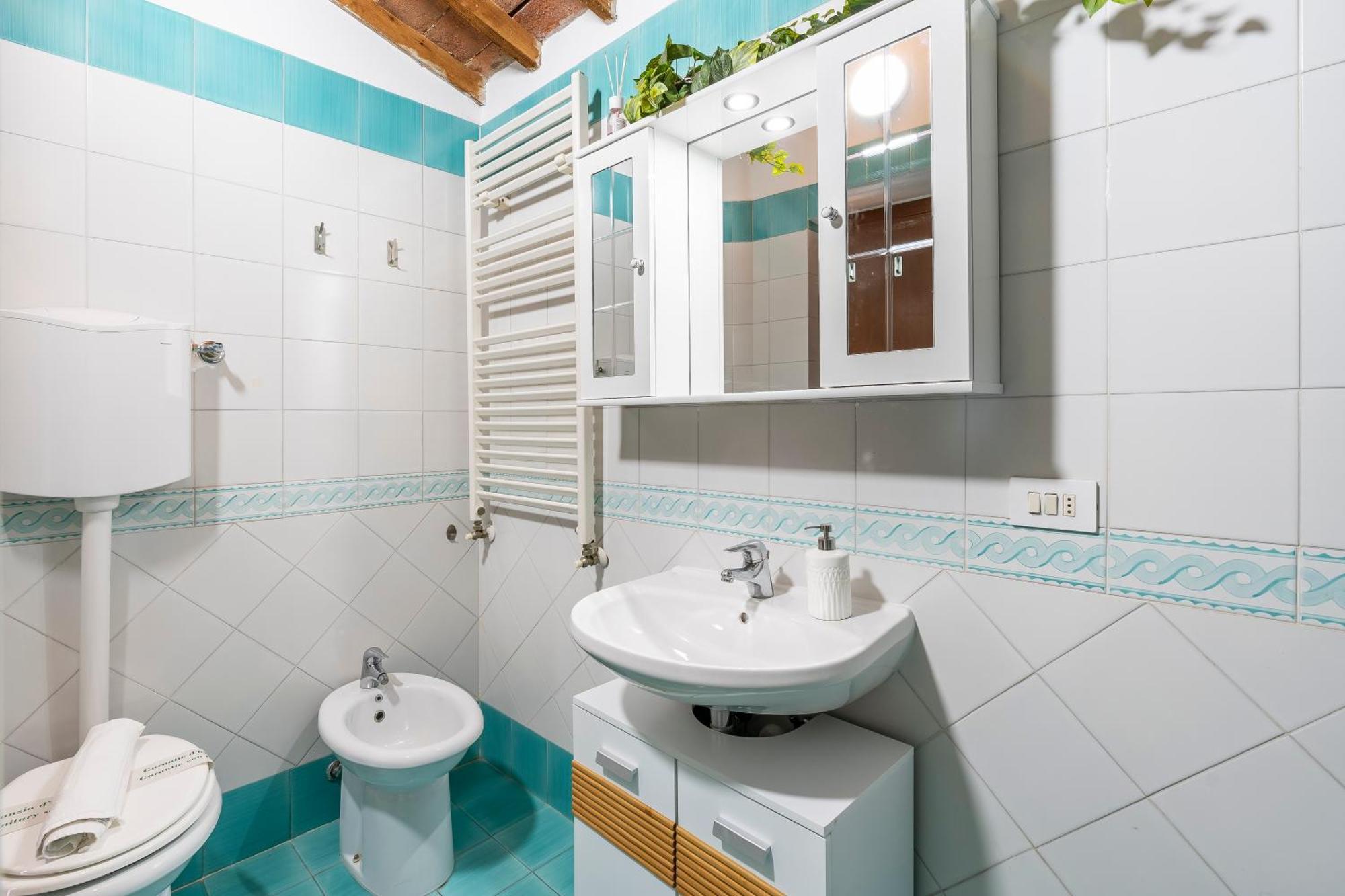 Piazza Santo Spirito Appartamento Con 2 Camere Matrimoniali 佛罗伦萨 外观 照片