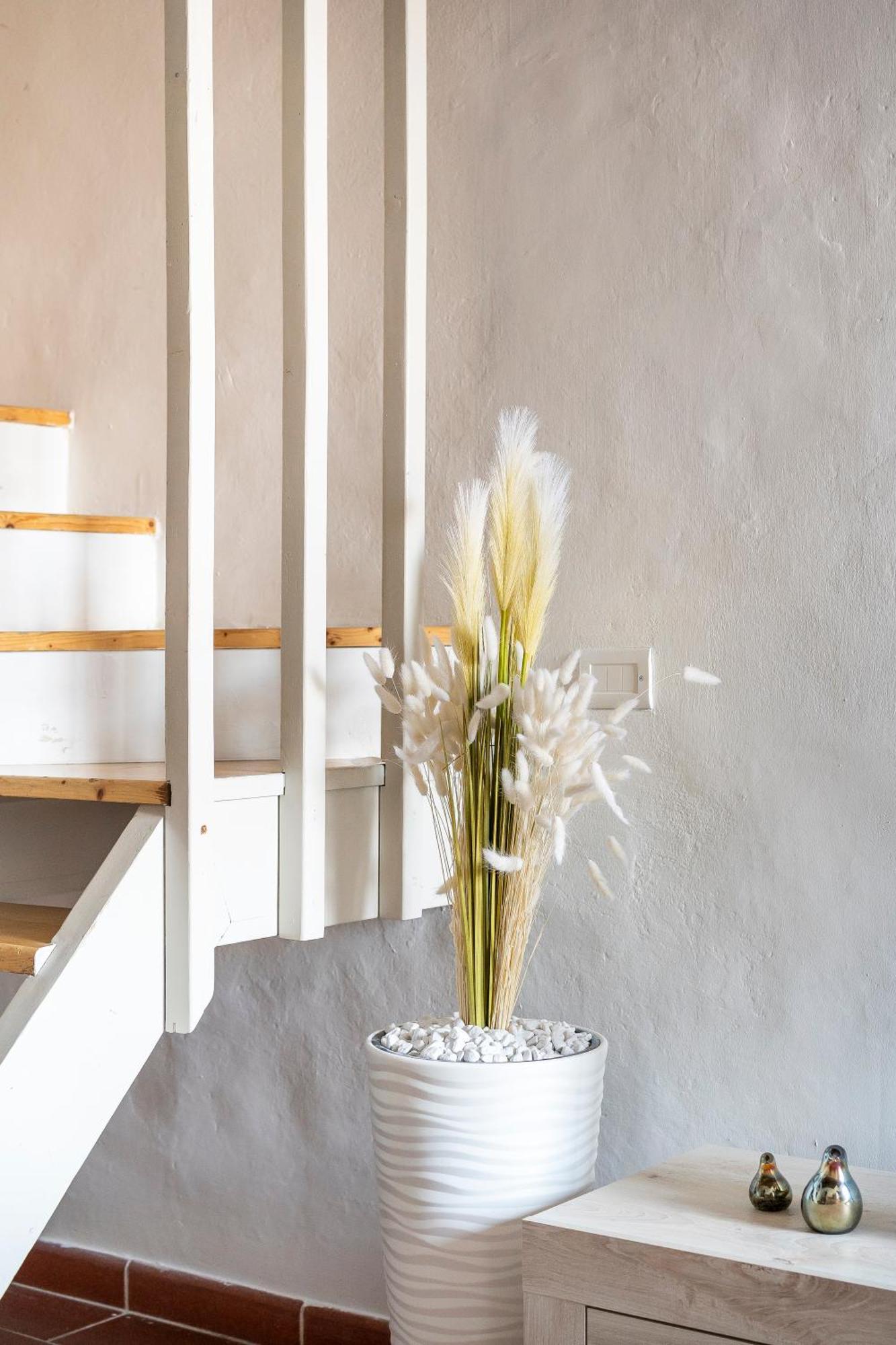 Piazza Santo Spirito Appartamento Con 2 Camere Matrimoniali 佛罗伦萨 外观 照片